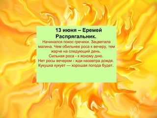 13 июня – Еремей
Распрягальник.
Начиналсяпокосгречихи.Зацветала
малина.Чемобильнееросаквечеру,тем
жарченаследующийдень.
Сильнаяроса-кясномудню.
Нетросывечером-ждиназавтрадождя.
Кукушкакукует—хорошаяпогодабудет.
 