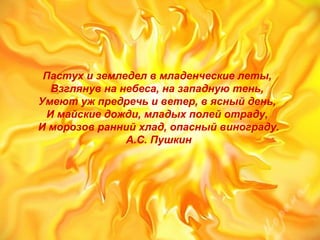 Пастух и земледел в младенческие леты,
Взглянув на небеса, на западную тень,
Умеют уж предречь и ветер, в ясный день,
И майские дожди, младых полей отраду,
И морозов ранний хлад, опасный винограду.
А.С. Пушкин
 