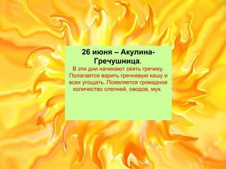 26 июня – Акулина-
Гречушница. 
В эти дни начинают сеять гречиху. 
Полагается варить гречневую кашу и 
всех угощать. Появляется громадное 
количество слепней, оводов, мух. 
 
 
