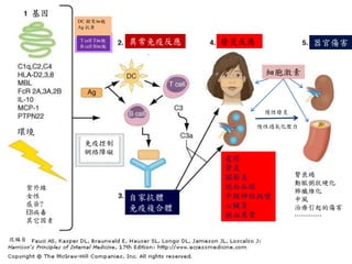 改編自
慢性過氧化壓力
發炎反應 器官傷害異常免疫反應
皮疹
腎炎
關節炎
低白血球
中樞神經病變
心臟炎
凝血異常
自家抗體
免疫複合體
DC 樹突細胞
Ag 抗原
基因
慢性發炎
環境
紫外線
女性
感染?
EB病毒
其它因素
腎衰竭
動脈粥狀硬化
肺纖維化
中風
治療引起的傷害
…………
免疫控制
網絡障礙
T cell T細胞
B cell B細胞
細胞激素
 