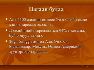 дэлхийн хөдөө аж ахуй