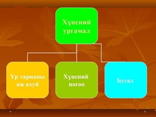 дэлхийн хөдөө аж ахуй