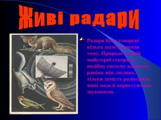  Радари були створені
кілька десятків років
тому. Природа в своїй
майстерні створила
подібну систему набагато
раніше ніж людина,
тільки замість радіохвиль
живі моделі користуються
звуковими.
 