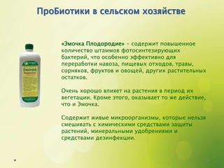 Пробиотехнология: инновационный инструмент биологизации земледелия | PPT