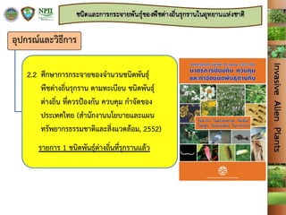 อุปกรณ์และวิธีการ
2.2 ศึกษาการกระจายของจานวนชนิดพันธุ์
พืชต่างถิ่นรุกราน ตามทะเบียน ชนิดพันธุ์
ต่างถิ่น ที่ควรปูองกัน ควบคุม กาจัดของ
ประเทศไทย (สานักงานนโยบายและแผน
ทรัพยากรธรรมชาติและสิ่งแวดล้อม, 2552)
รายการ 1 ชนิดพันธุ์ต่างถิ่นที่รุกรานแล้ว
 