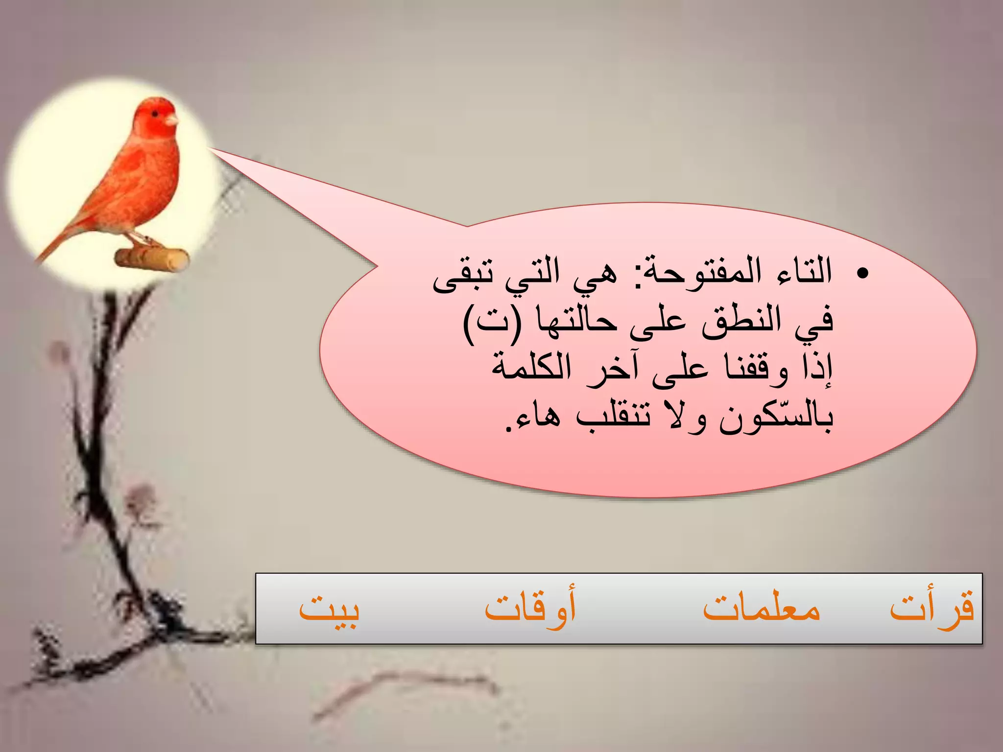 •‫المفتوحة‬ ‫التاء‬:‫ت‬ ‫التي‬ ‫هي‬‫بقى‬
‫حالتها‬ ‫على‬ ‫النطق‬ ‫في‬(‫ت‬)
‫الكلمة‬ ‫آخر‬ ‫على‬ ‫وقفنا‬ ‫إذا‬
‫هاء‬ ‫تنقلب‬ ‫وال‬ ‫كون‬ّ‫س‬‫بال‬.
‫بيت‬ ‫أوقات‬ ‫معلمات‬ ‫قرأت‬
 