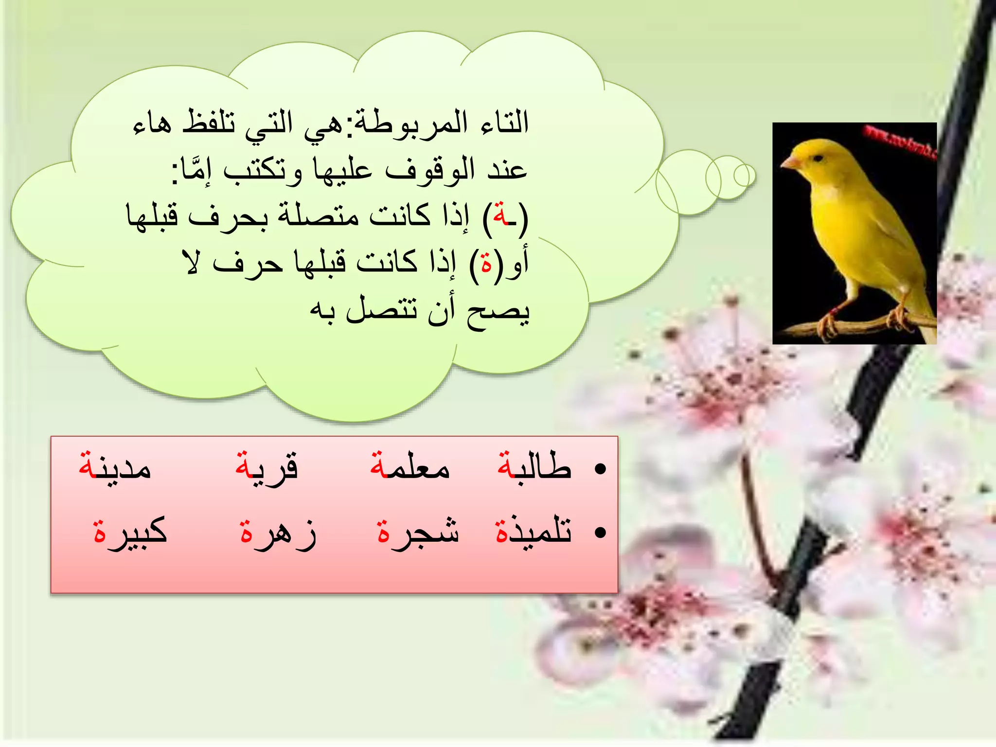 ‫التاء‬‫المربوطة‬:‫هي‬‫تلفظ‬ ‫التي‬‫هاء‬
َّ‫م‬‫إ‬ ‫وتكتب‬ ‫عليها‬ ‫الوقوف‬ ‫عند‬‫ا‬:
(‫ـ‬‫ة‬)‫قب‬ ‫بحرف‬ ‫متصلة‬ ‫كانت‬ ‫إذا‬‫لها‬
‫أو‬(‫ة‬)‫ال‬ ‫حرف‬ ‫قبلها‬ ‫كانت‬ ‫إذا‬
‫به‬ ‫تتصل‬ ‫أن‬ ‫يصح‬
•‫طالب‬‫ة‬‫معلم‬‫ة‬‫قري‬‫ة‬‫مدين‬‫ة‬
•‫تلميذ‬‫ة‬‫شجر‬‫ة‬‫زهر‬‫ة‬‫كبير‬‫ة‬
 