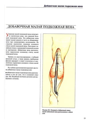 атлас анатомии поверхностных вен нижних конечностей