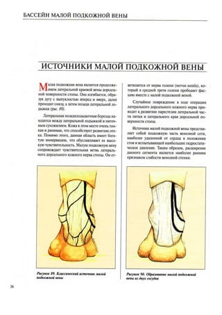 атлас анатомии поверхностных вен нижних конечностей