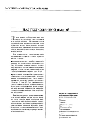 атлас анатомии поверхностных вен нижних конечностей