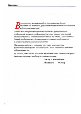 атлас анатомии поверхностных вен нижних конечностей