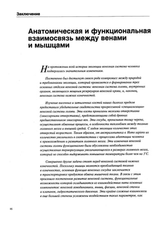 атлас анатомии поверхностных вен нижних конечностей