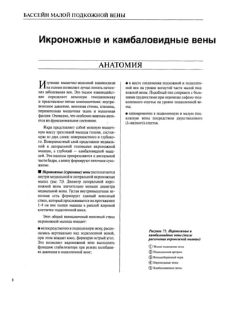 атлас анатомии поверхностных вен нижних конечностей
