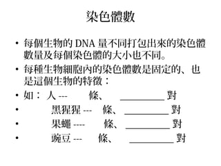 染色體數
• 每個生物的 DNA 量不同打包出來的染色體
數量及每個染色體的大小也不同。
• 每種生物細胞內的染色體數是固定的、也
是這個生物的特徵：
• 如： 人 --- 條、 _________ 對
• 黑猩猩 --- 條、 _________ 對
• 果蠅 ---- 條、 _________ 對
• 豌豆 --- 條、 _________ 對
 