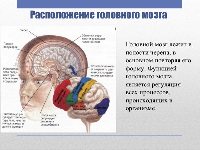 Где мозги на гранте