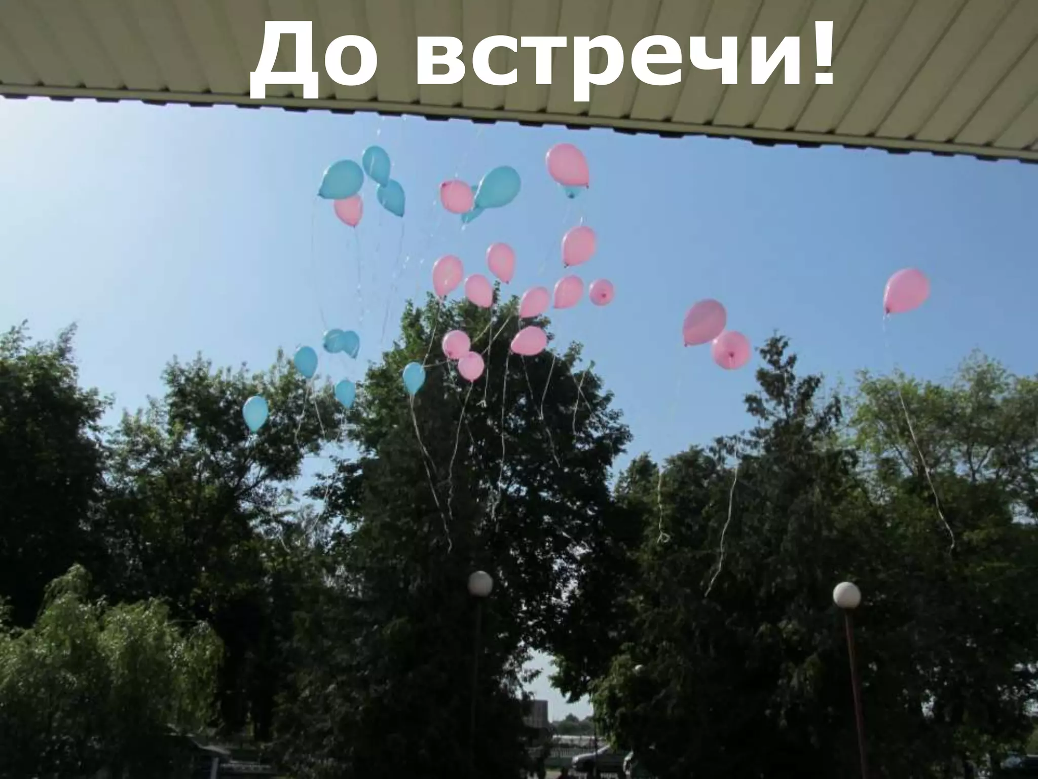 До встречи!
 