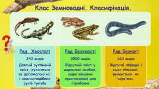 Клас Земноводні. Класифікація.
Ряд Хвостаті
340 видів
Довгий рухливий
хвіст, рухаються
за допомогою ніг
і хвильоподібних
рухів тулуба
Ряд Безхвості
3500 видів
Відсутній хвіст у
дорослих особин,
задні кінцівки
пристосовані для
стрибання
Ряд Безногі
160 видів
Відсутні передні і
задні кінцівки,
рухаються як
черв'яки.
 