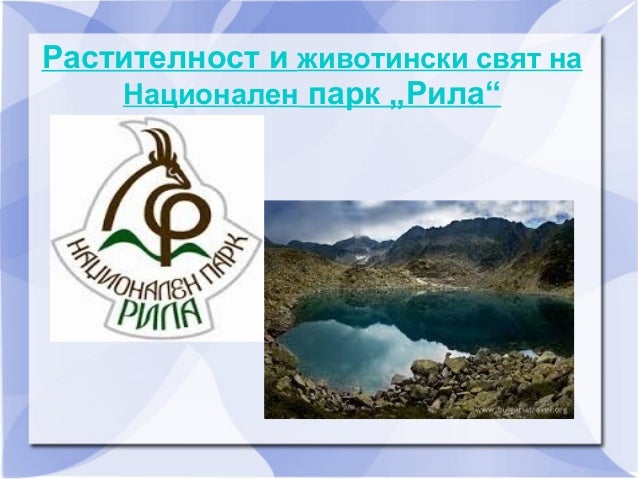 Растителност и животински свят на Национален парк "Рила"