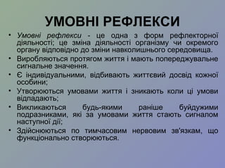 УМОВНІ РЕФЛЕКСИ
• Умовні рефлекси - це одна з форм рефлекторної
діяльності; це зміна діяльності організму чи окремого
органу відповідно до зміни навколишнього середовища.
• Виробляються протягом життя і мають попереджувальне
сигнальне значення.
• Є індивідуальними, відбивають життєвий досвід кожної
особини;
• Утворюються умовами життя і зникають коли ці умови
відпадають;
• Викликаються будь-якими раніше буйдужими
подразниками, які за умовами життя стають сигналом
наступної дії;
• Здійснюються по тимчасовим нервовим зв'язкам, що
функціонально створюються.
 
