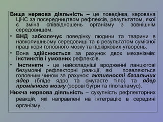 Вища нервова діяльність – це поведінка, керована
ЦНС за посередництвом рефлексів, результатом, якої
є зміна співвідношень організму з зовнішнім
середовищем.
• ВНД забезпечує поведінку людини та тварини в
навколишньому середовищі та є результатом сумісної
праці кори головного мозку та підкіркових утворень.
• Вона здійснюється за рахунок двох механізмів:
інстинктів і умовних рефлексів.
• Інстинкти - це найскладніші вродженні ланцюгові
безумовні рефлекторні реакції, які появляються
головним чином за рахунок: активності базальних
ядер (бліде ядро та смугасте тіло) та ядер
проміжного мозку (зорові бугри та гіпоталамус).
Нижча нервова діяльність – сукупність рефлекторних
реакцій, які направлені на інтеграцію в середині
організму.
 