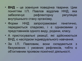 • ВНД – це зовнішня поведінка тварини. Цим
поняттям І.П. Павлов відділив ННД, яка
забезпечує рефлекторну регуляцію
внутрішнього стану організму.
• Форми ННД запрограмовані генетично,
передаються спадково, і є однаковими у
представників одного виду, родини, класу.
• А пристосувальні реакції, які здійснюються
ВНД, є наслідком індивідуального навчання.
• За І.П. Павловим, вони складаються з
безумовних і умовних рефлексів, тобто є
об’єктивним проявом психічної діяльності.
 