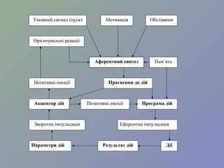 Умовний сигнал (пуск) Мотивація Обставини
Орієнтувальні реакції
Аферентний синтез
Негативні емоції Прагнення до дій
Пам’ять
Акцептор дій Позитивні емоції Програма дій
Параметри дій Результат дій Дії
Зворотна імпульсація Еферентна імпульсація
 