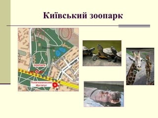 Київський зоопарк
 