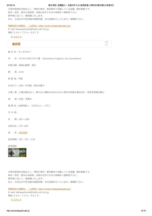 川崎市の植木屋 小林植木