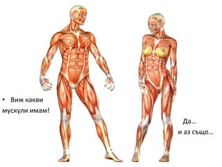 мускули в човешкото тяло