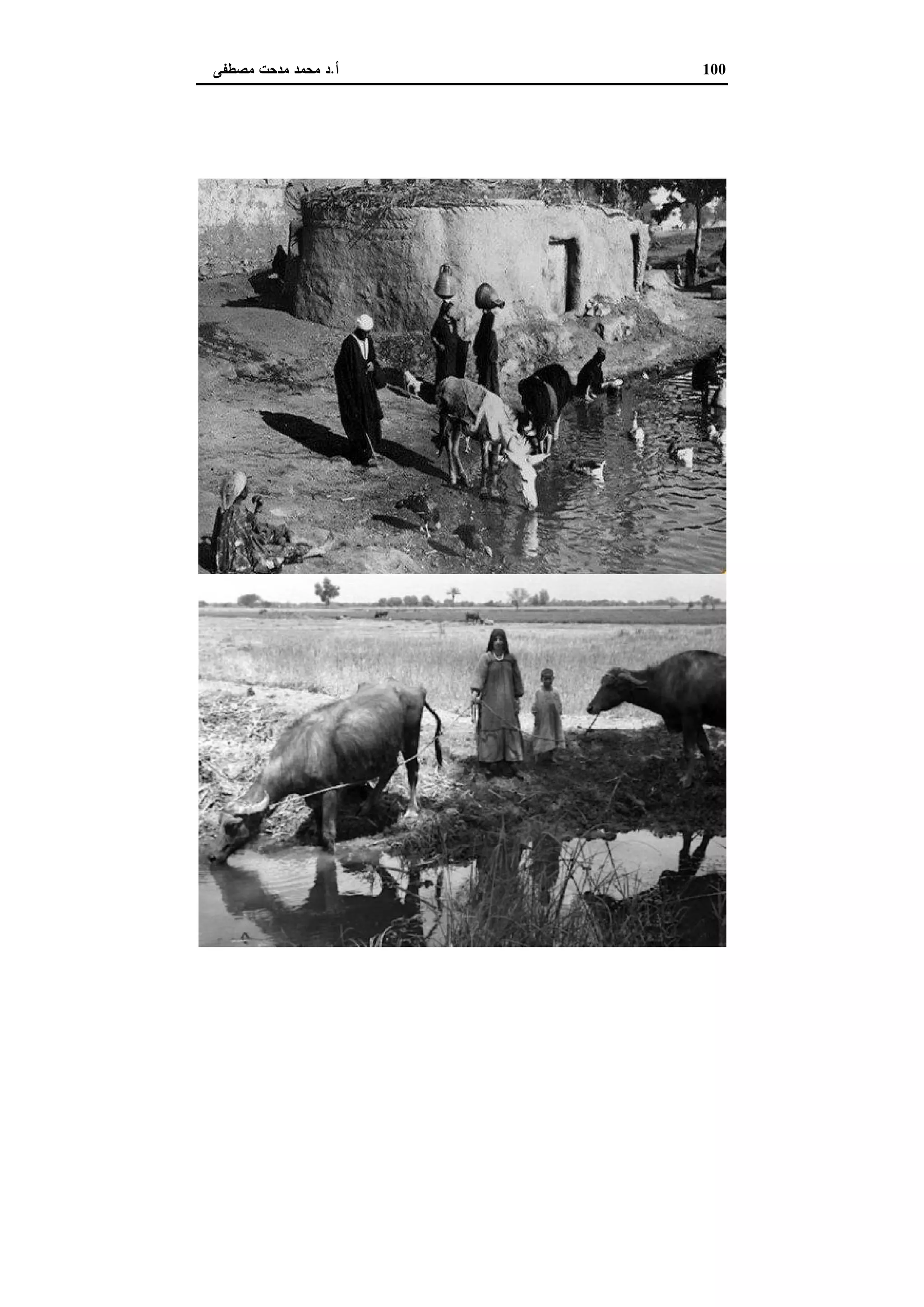 دراسات في التطور الاقتصادي الجزء الثاني