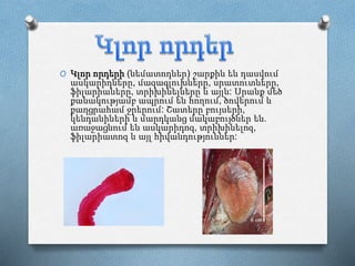 O Կլոր որդերի (նեմատոդներ) շարքին են դասվում
ասկարիդները, մազագլուխները, սրատուտները,
ֆիլարիաները, տրիխինելները և այլն: Սրանք մեծ
քանակությամբ ապրում են հողում, ծովերում և
քաղցրահամ ջրերում: Շատերը բույսերի,
կենդանիների և մարդկանց մակաբույծներ են.
առաջացնում են ասկարիդոզ, տրիխինելոզ,
ֆիլարիատոզ և այլ հիվանդություններ:
 