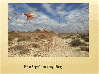 8η
πληγή: οι ακρίδες
 
