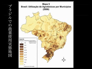 ブ
ラ
ジ
ル
で
の
農
薬
使
用
実
態
地
図
 