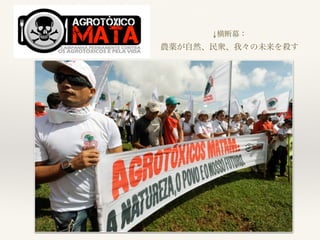 ↓横断幕：
農薬が自然、民衆、我々の未来を殺す
 