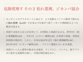 危険度増す その２ 枯れ葉剤、ジカンバ混合
❖ モンサントのグリホサートに加えて、より危険なベトナム戦争で使われ
た枯れ葉剤（2,4-D）やジカンバを混ぜて使う→ガンや神経症などへの
懸念が高まる
❖ 米国では50万人以上が反対して、2年間以上承認が止まる。昨年9月（枯
れ葉剤耐性GM）、今年1月（ジカンバ耐性GM）が米国で承認、米国市
民団体が訴訟中。しかし、日本は2012年12月（枯れ葉剤耐性GM）、
2013年10月（ジカンバ耐性GM）、マスコミ報道もないまま承認。
❖ 米国でいったん耕作が始まれば南米、フィリピン、ベトナム、南アフリ
カに拡がる危険性が高い。中国が現在歯止めに。
 