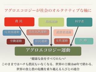 アグロエコロジーが社会のオルタナティブな軸に
農 民 環境運動 科学者
アグロエコロジー運動
反貧困運動 消費者運動
医 療
先住民族運動
住民運動
”健康な食をすべての人へ”
このままではハチも農民もいなくなる。世界の土壌は60年で終わる。
世界の食と農の危機を乗り越える人びとの連合
女性運動労働運動
 