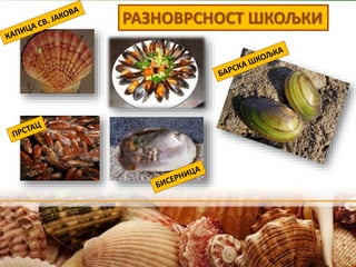 РАЗНОВРСНОСТ ШКОЉКИ
 