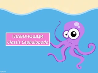 ГЛАВОНОШЦИ
Classis Cephalopoda
 