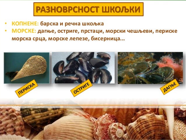 Мекушци