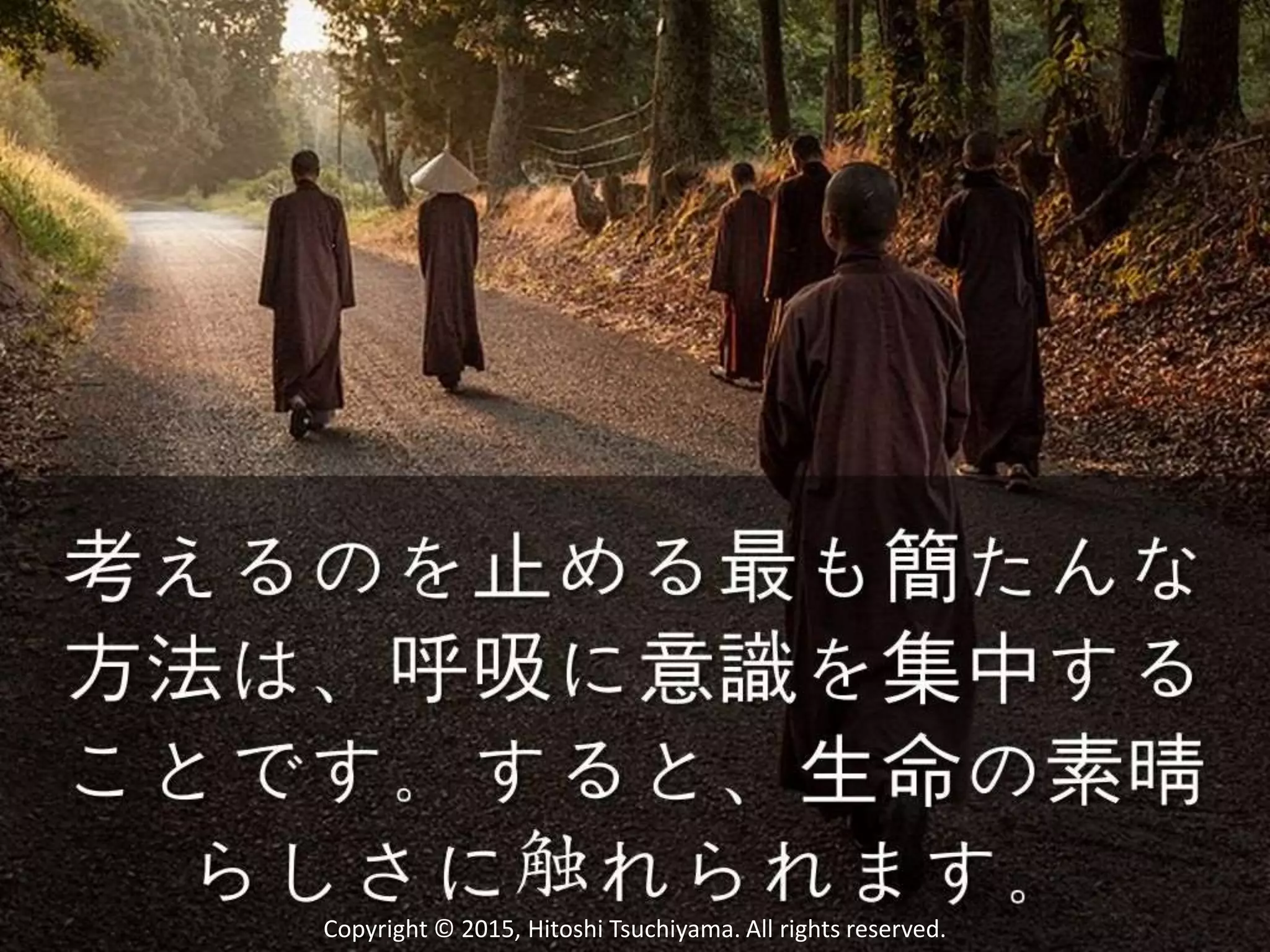 Copyright © 2015, Hitoshi Tsuchiyama. All rights reserved.
 