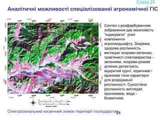 24
Аналітичні можливості спеціалізованої агрономічної ГІС
Спектрозональний космічний знімок території господарства
Синтез з розфарбуванням
зображення дає можливість
“індикувати” різні
компоненти
агроландшафту. Зокрема,
здорова рослинність
виглядає яскраво-зеленою,
трав'янисті співтовариства -
зеленими, яскраво-рожеві
ділянки детектують
відкритий грунт, коричневі і
оранжеві тони характерні
для розрідженої
рослинності. Сухостійна
рослинність виглядає
оранжевою, вода -
блакитною.
 