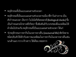 • พฤติกรรมที่เป็นแบบแผนตามช่วงเวลา
• พฤติกรรมที่เป็นแบบแผนตามช่วงเวลาจะมีนาฬิกาในร่างกาย เป็น
ตัวกาหนดเวลา เรียกว่า ไบโอโลจิคัลคลอกส์ (biological clocks) ซึ่ง
เป็นกาหนดกลไกทางสรีรวิทยา ซึ่งสัมพันธ์กับวงจรของสิ่งแวดล้อมให้
ดาเนินไปร่วมกัน พฤติกรรมที่เป็นแบบแผนตามช่วงเวลา ได้แก่
• 1) พฤติกรรมการหากินในเวลากลางคืน (nocturnal life)สัตว์หลาย
ชนิดปรับตัวให้เข้ากับสภาพแวดล้อมในการหากินในเวลากลางคืนเช่น
นกเค้าแมว กวาง ค้างคาว ไส้เดือน หอยทาก
 