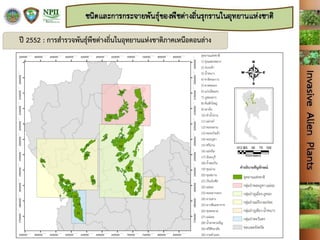 ปี 2552 : การสารวจพันธุ์พืชต่างถิ่นในอุทยานแห่งชาติภาคเหนือตอนล่าง
 
