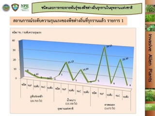 หมายเหตุ ระดับ หมายถึง ระดับความรุนแรงตามเปอร์เซ็นต์ความถี่ และพื้นที่ปกคลุมของพืชต่างถิ่นรุกราน 1 น้อยมาก 2 น้อย 3 ปานกลาง 4 มาก 5 มากที่สุด
%F = เปอร์เซ็นต์ความถี่ของพรรณพืช %C = เปอร์เซ็นต์พื้นที่ปกคลุมของพรรณพืช
สถานการณ์ระดับความรุนแรงของพืชต่างถิ่นที่รุกรานแล้ว รายการ 1
 