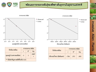 ปัจจัยแวดล้อม
การกระจาย (ชนิด)
r R2 Sig.
อุณหภูมิ (องศาเซลเซียส) -1 1
.008*
*
** มีนัยสาคัญทางสถิติที่ระดับ 0.01
ปัจจัยแวดล้อม
การกระจาย (ชนิด)
r R2 Sig.
ปริมาณน้าฝน (มิลลิเมตร) -.756 .571 .455
 