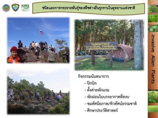 กิจกรรมนันทนาการ
- ปิกนิก
- ตั้งค่ายพักแรม
- พักผ่อนในบรรยากาศที่สงบ
- ชมทัศนียภาพ/ทิวทัศน์ธรรมชาติ
- ศึกษาประวัติศาสตร์
 