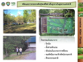 กิจกรรมนันทนาการ
- ปิกนิก
- ตั้งค่ายพักแรม
- พักผ่อนในบรรยากาศที่สงบ
- ชมทัศนียภาพ/ทิวทัศน์ธรรมชาติ
- ศึกษาธรรมชาติ
 