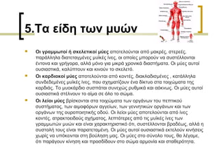 5.Τα είδη των μυών
 Οι γραμμωτοί ή σκελετικοί μύες αποτελούνται από μακρές, στερεές,
παράλληλα διατεταγμένες μυϊκές ίνες, οι οποίες μπορούν να συστέλλονται
έντονα και γρήγορα, αλλά μόνο για μικρά χρονικά διαστήματα. Οι μύες αυτοί
ουσιαστικά, καλύπτουν και κινούν το σκελετό.
 Οι καρδιακοί μύες αποτελούνται από κοντές, διακλαδισμένες , κατάλληλα
συνδεδεμένες μυϊκές ίνες, που σχηματίζουν ένα δίκτυο στα τοιχώματα της
καρδιάς. Το μυοκάρδιο συσπάται συνεχώς ρυθμικά και αόκνως. Οι μύες αυτοί
ουσιαστικά στέλνουν το αίμα σε όλο το σώμα.
 Οι λείοι μύες βρίσκονται στα τοιχώματα των οργάνων του πεπτικού
συστήματος, των αιμοφόρων αγγείων, των γεννητικών οργάνων και των
οργάνων της ουροποιητικής οδού. Οι λείοι μύες αποτελούνται από ίνες
κοντές, ατρακτοειδούς σχήματος, λεπτότερες από τις μυϊκές ίνες των
γραμμωτών μυών και είναι χαρακτηριστικό ότι, συστέλλονται βραδέως, αλλά η
συστολή τους είναι παρατεταμένη. Οι μύες αυτοί ουσιαστικά εκτελούν κινήσεις
χωρίς να υπόκεινται στη βούληση μας. Οι μύες στο σύνολο τους, θα λέγαμε,
ότι παράγουν κίνηση και προσδίδουν στο σώμα αρμονία και σταθερότητα.
 