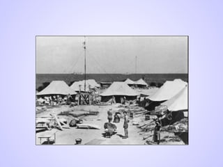 סיפורה של יהדות רומניה במלהע השנייה