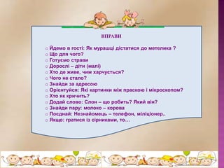 Миколая на землі ждуть дорослі і малі